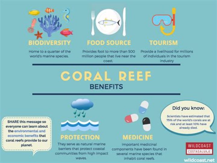 What is the economic importance of coral reefs?