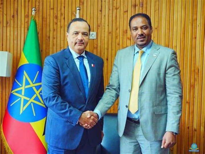 What is the essence of Ethiopia Foreign Relations With European Union?