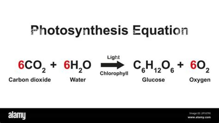 What is the formula equation for photosynthesis?