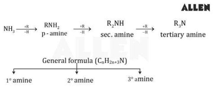 What is the general formula for amine?