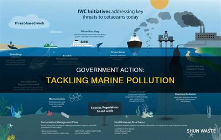 What is the government doing about water pollution?