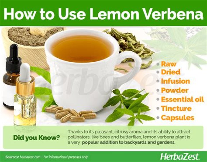What is the herb lemon verbena used for?