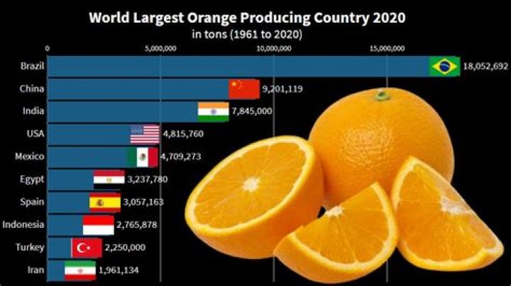 What is the largest orange producing country?