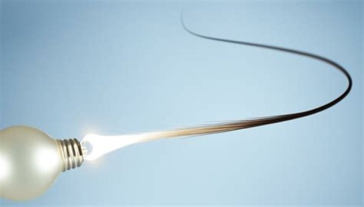 What is the little white bulb on end of hair?