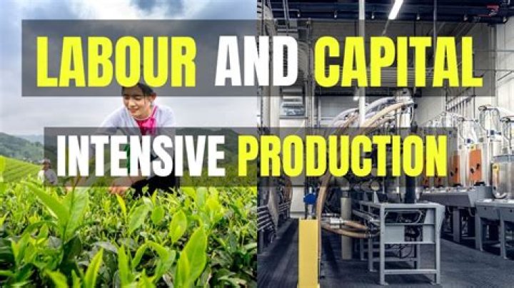 What is the main difference between capital intensive production and labour intensive production?