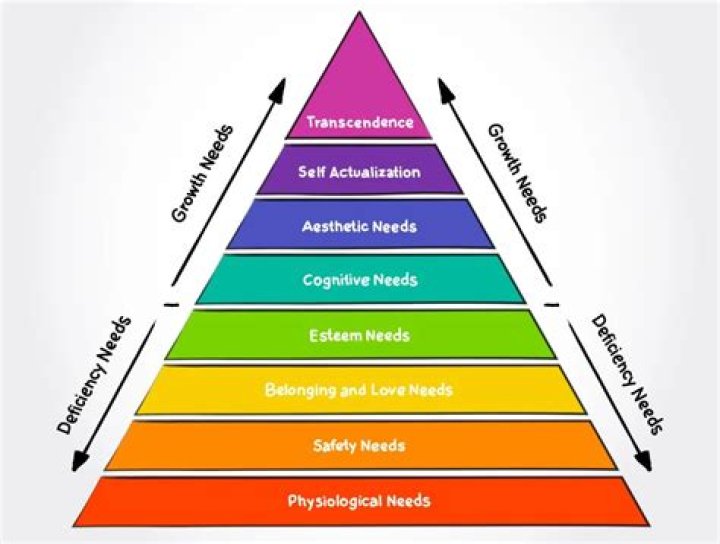 What is the Maslow theory in psychology?