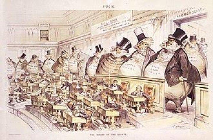 What is the meaning of crony capitalists?