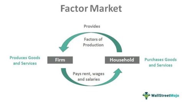 What is the meaning of factor market?