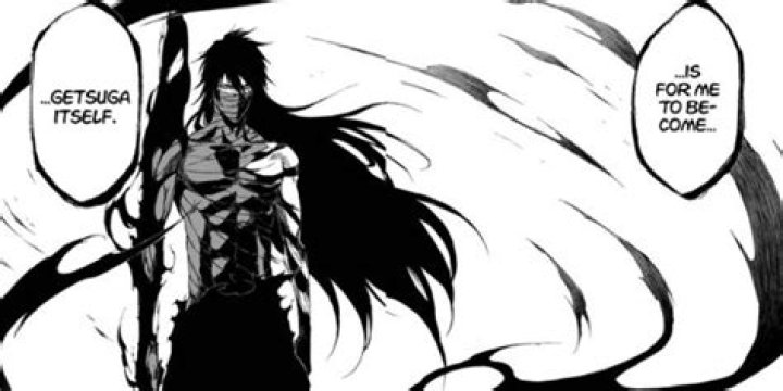 What is the meaning of getsuga Tenshou?