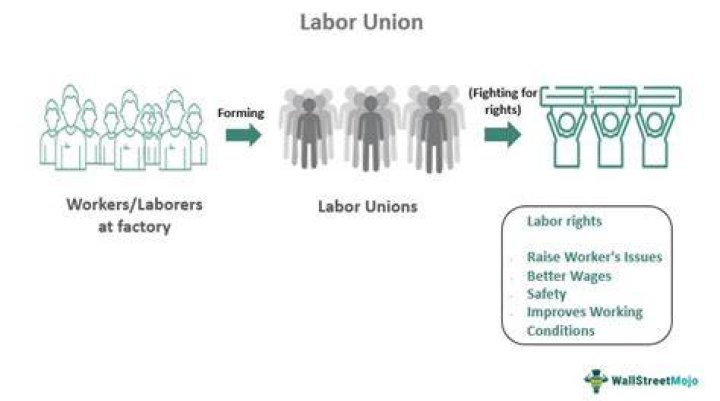 What is the meaning of labor supply?