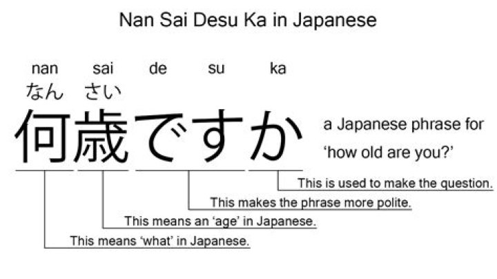 What is the meaning of nan desu ka?