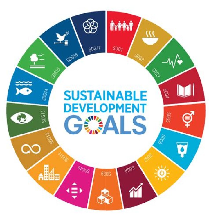 What is the meaning of SDG goals?