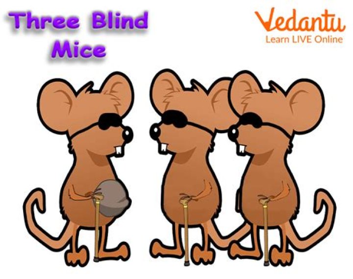 What is the meaning of three blind mice?