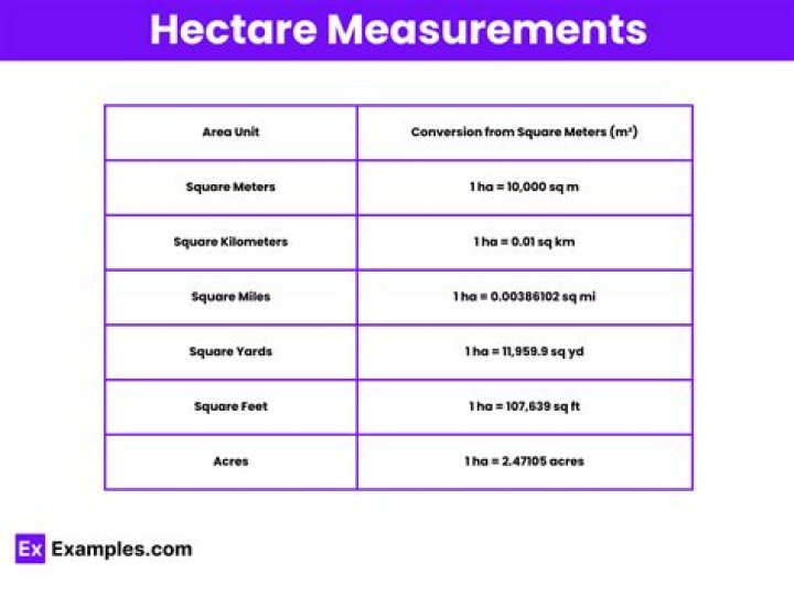 What is the measurement of 1 hectare?
