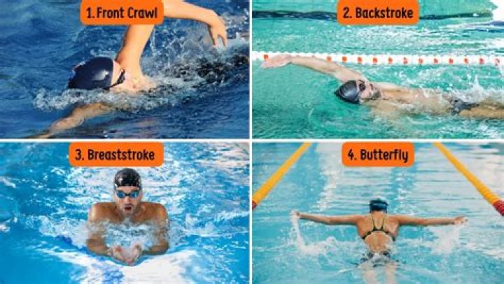 What is the most efficient stroke in swimming?