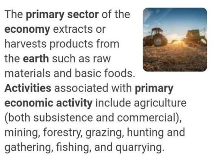 What is the most important primary economic activity?