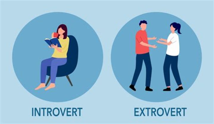 What is the motto of an introvert?
