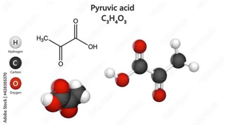What is the name of c3h4o3?
