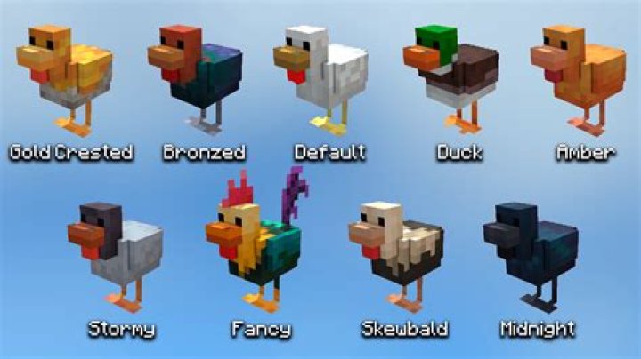 What is the name of the chicken in FNaF?