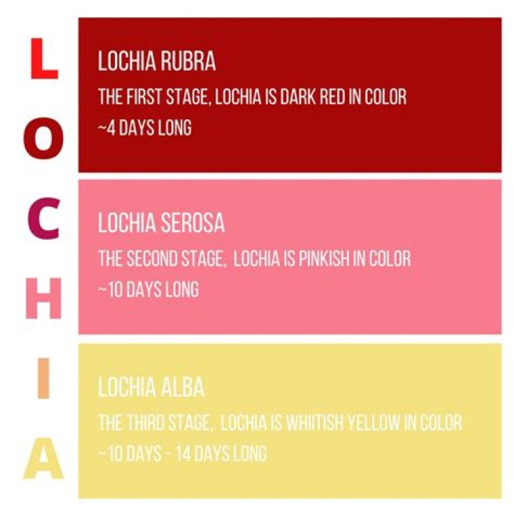 What is the normal progression of lochia?