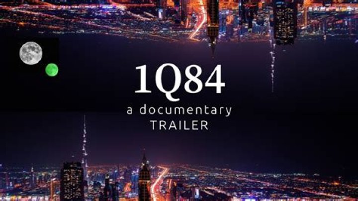 What is the point of 1Q84?