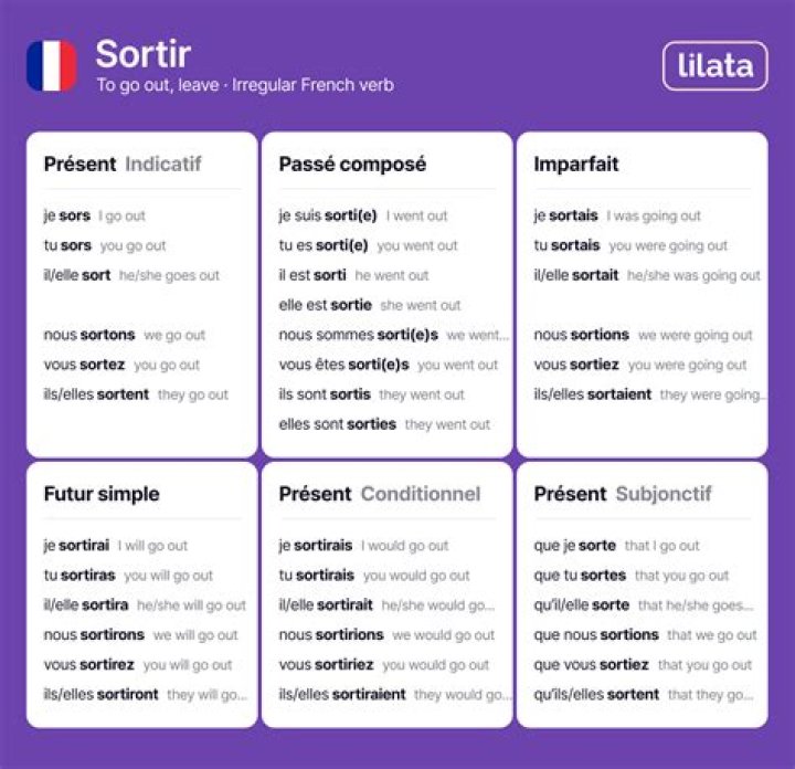 What is the present tense of sortir in French?