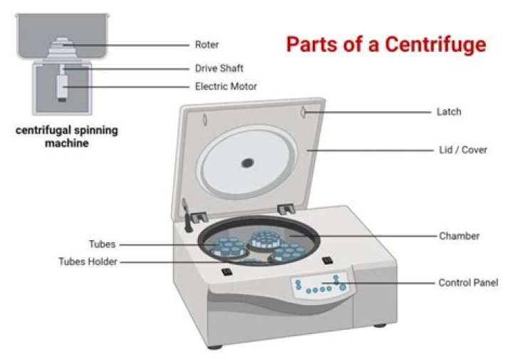 What is the process of centrifuging?