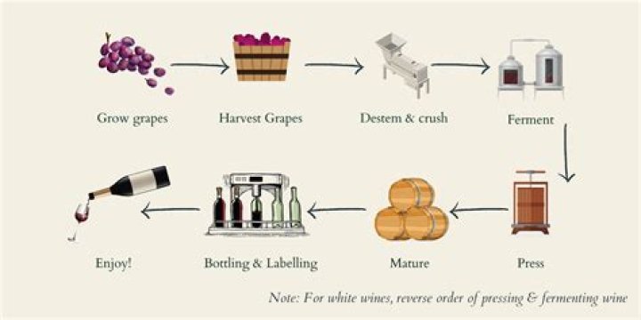 What is the process of making kombucha?