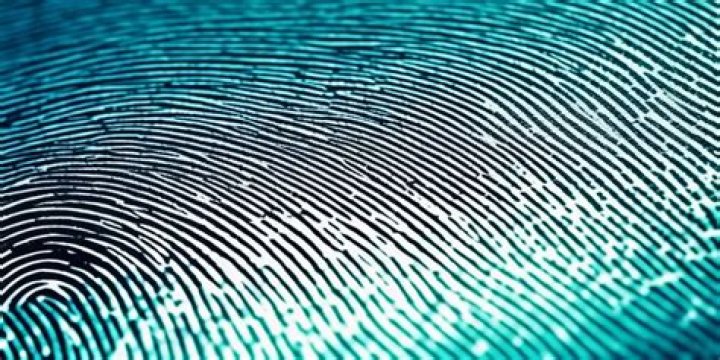 What is the rarest fingerprint type?