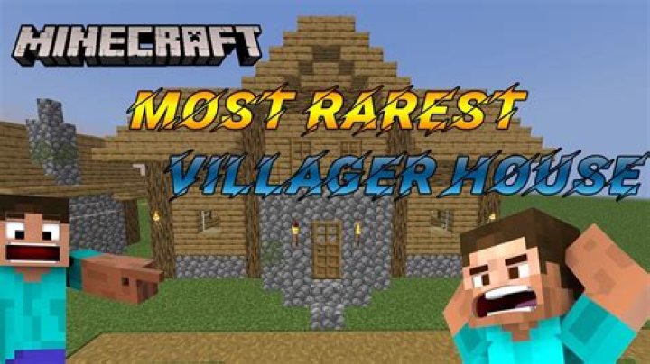 What is the rarest Minecraft village house?