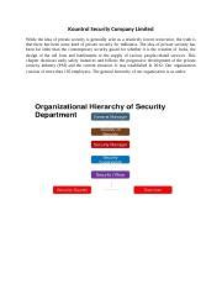 What is the reason for the rapid growth of the private security sector in the US?