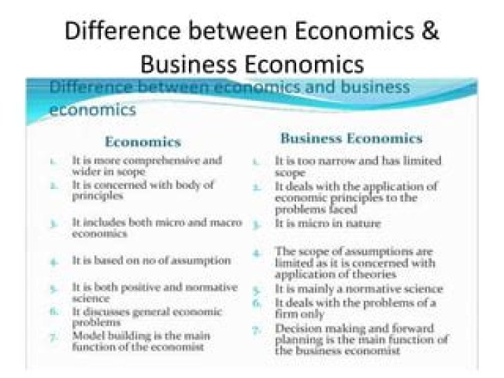 What is the relation between business and economics?