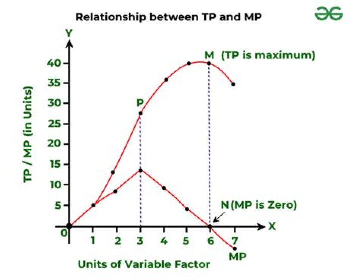 What is the relation between TP AP and MP?