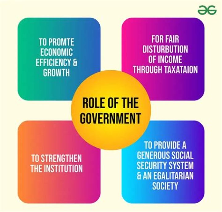 What is the role of taxes to the government?