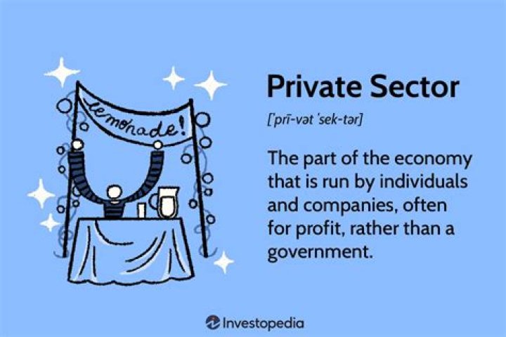 What is the role of the private sector in the economy?