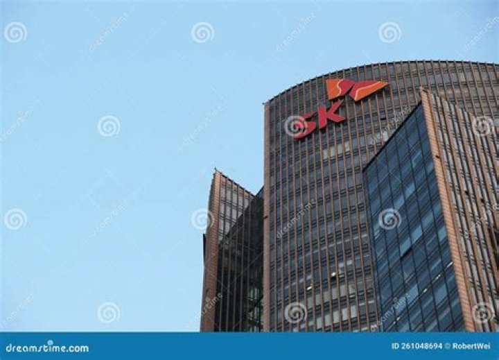 What is the SK Group of companies?