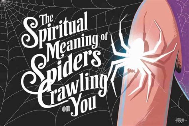 What is the spiritual meaning of spiders in your dream?