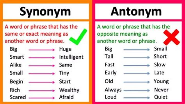 What is the synonym of instigated?