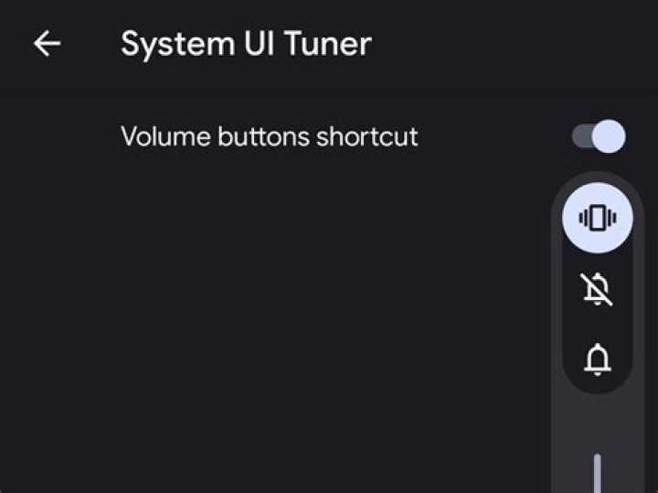What is the System UI Tuner for?