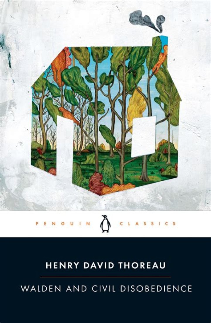 What is the theme of Walden and Civil Disobedience?