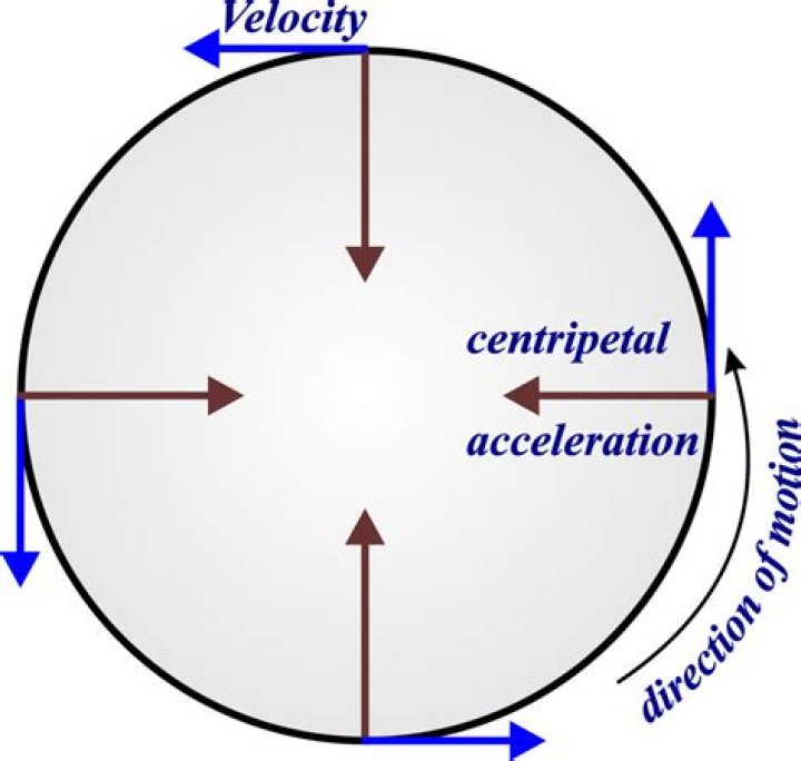 What is the velocity of plate motion?