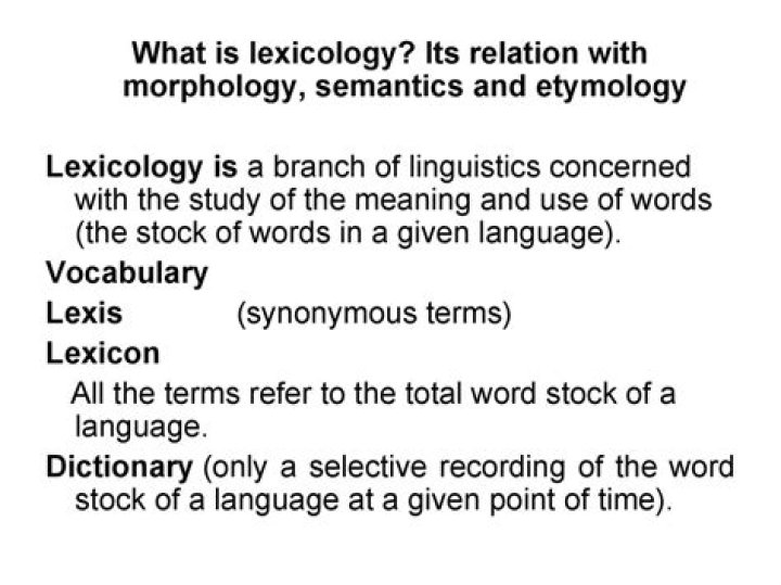 What is the word in lexicology?