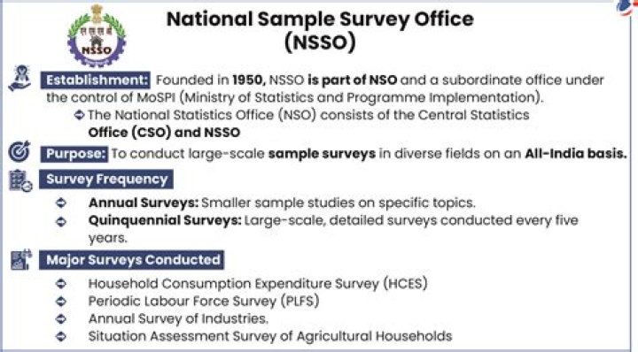 What is the work of NSSO?