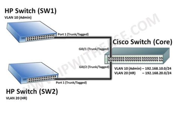 What is trunk on HP switch?