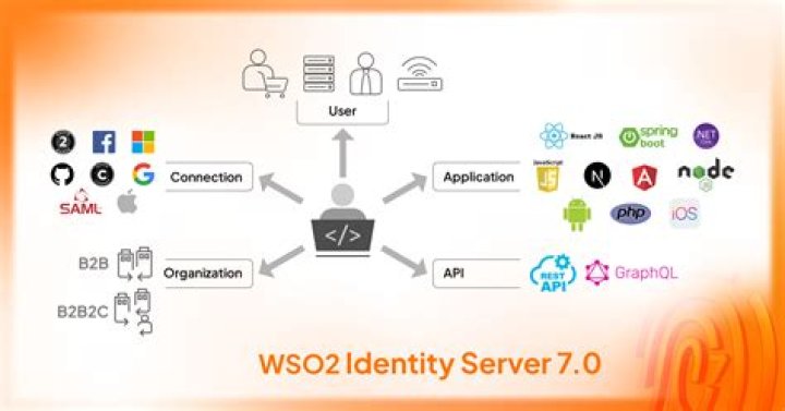 What is WSO software?