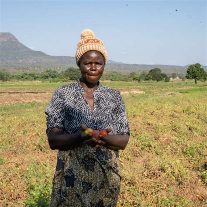 What kind of economic activity are women in rural areas of Africa mostly involved in?