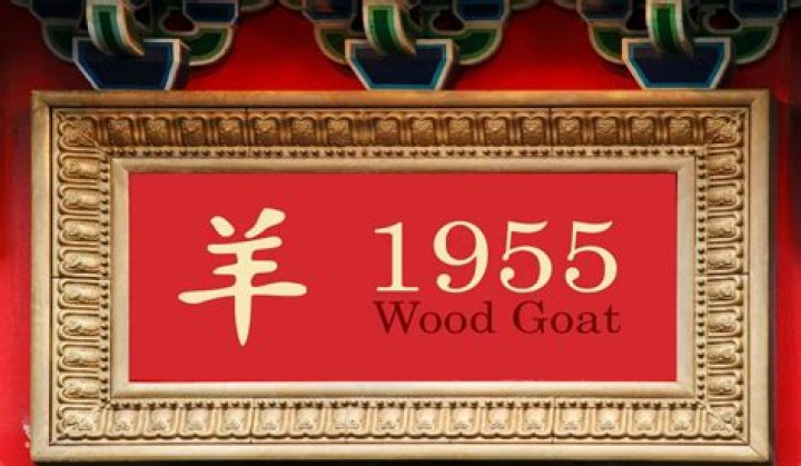 What kind of Goat is 1955?