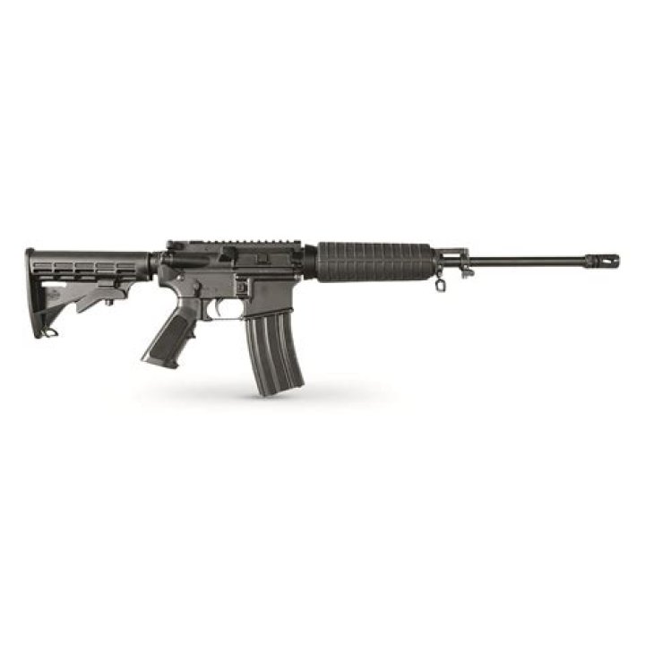 What kind of gun is a Bushmaster?