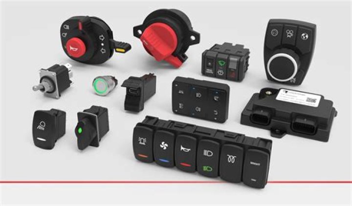 What kind of switches does Carling make?