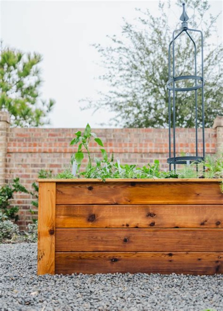 What kind of wood should I use for a garden box?